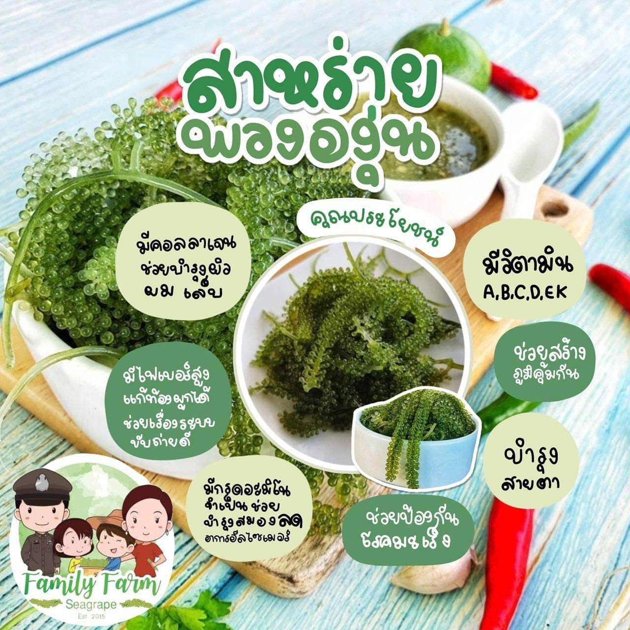 สาหร่ายพวงองุ่น (green caviar)